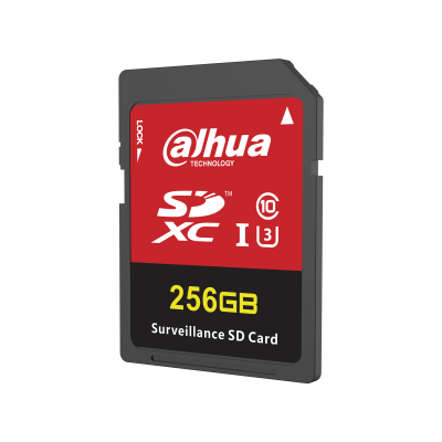 DAHUA TF-H100-256GB W100 microSD Memory Card
